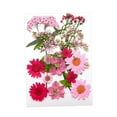 thumbnail image 2 of Flores prensadas secas Strade Fareast Limited paquete de flores artesanales, 2 of 8