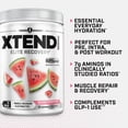 thumbnail image 3 of XTEND Original BCAA Powder, Sugar Free Post Workout Muscle Recovery Drink with Amino Acids and 7g BCAAs, Watermelon Explosion Flavor, 30 Servings, 3 of 6