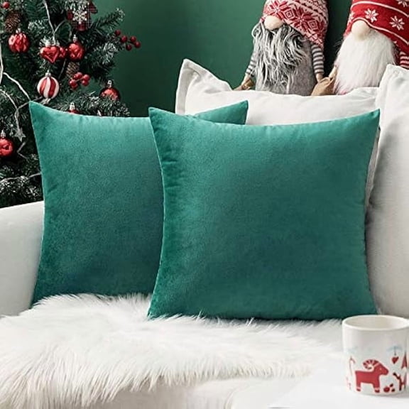 Eryueer Christmas Velvet Soft Soild Microfiber Decorative Square Pillow Case Throw Cushion Cover for Sofa Bedroom with Invisible Zipper 16x16 Inch 40x40cm Turquoise Set of 2 Lined
