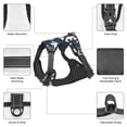 thumbnail image 6 of Lsque Shark Dog Harness, No-Pull Pet Harness with 2 Leash Clips, Adjustable Soft Padded Dog Vest with Easy Control Handle for Large Dogs-Medium, 6 of 9