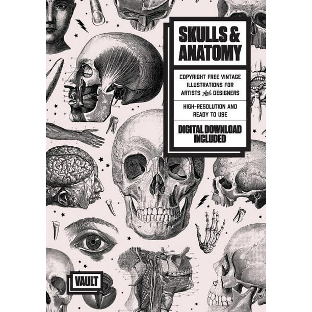 Skulls & Anatomy Copyright Free Vintage Illustrations