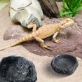 thumbnail image 4 of unbranded 2Ud Contenedores Para Reptiles Con Superficie Imitación Roca En Resin Negro Para Mascotas, 4 of 6