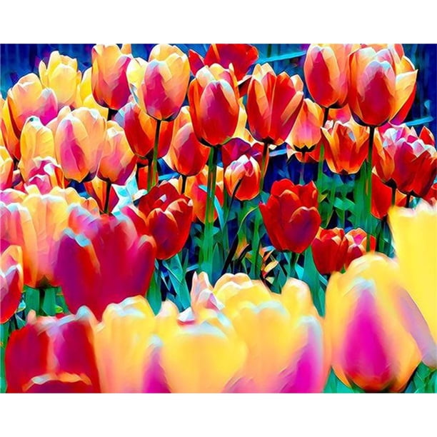 Wdftyju Pintura al óleo de flores coloridas por número Kit DIY lienzo de pintura acrílica (B1299) Wdftyju 7sa0bq4av9xk9pv9D04