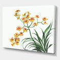 thumbnail image 3 of Designart ' Yellow Vintage Orchids On White ' Traditional Canvas Wall Art Print, 3 of 4