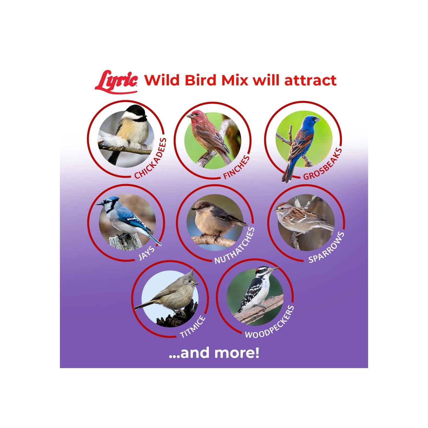 Lyric Wild Bird Mix Bird Seed, Bird Food for Outside Feeders - 40 lb. Bag