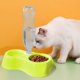 thumbnail image 3 of Comedero doble antideslizante ovalado pequeño para mascotas con diseño elevado para perros y gatos pequeños. Platos elevados fáciles de limpiar para una alimentación sin complicaciones., 3 of 7
