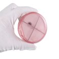 thumbnail image 5 of Unique Bargains 1 Pc 4 Grids Circular Single-Layer Pill Case Durable for Travel Pink, 5 of 6
