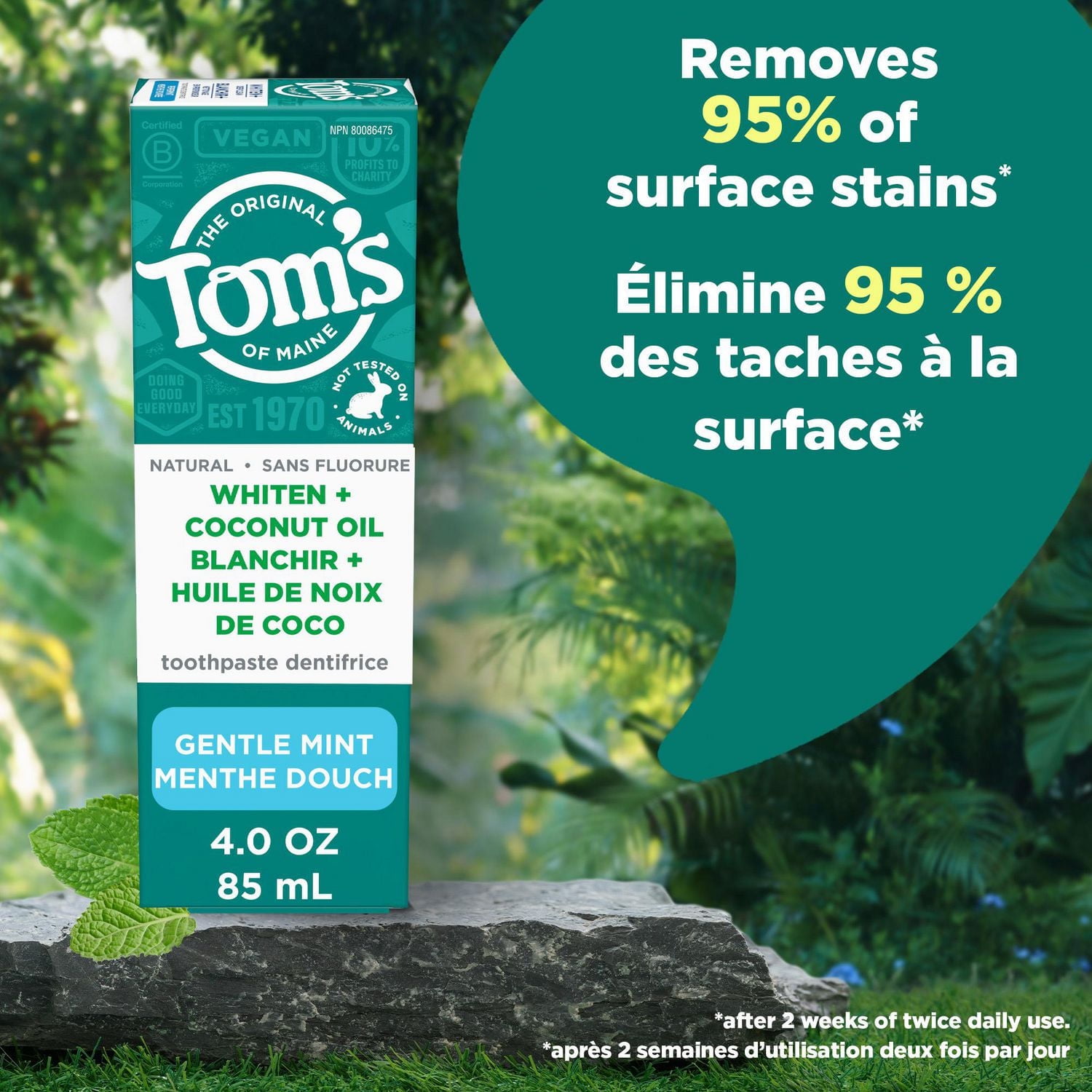 Tom’s of Maine Dentifrice sans Fluorure plus Blanchissant à l’Huile de Coco, Dentifrice Naturel, sans Causer de Sensibilité, Menthe Douce, 113 g