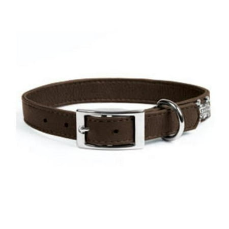 - Rockinft Doggie 844587010607 1 in. x 20 in. Leather Collar Plain - Brown