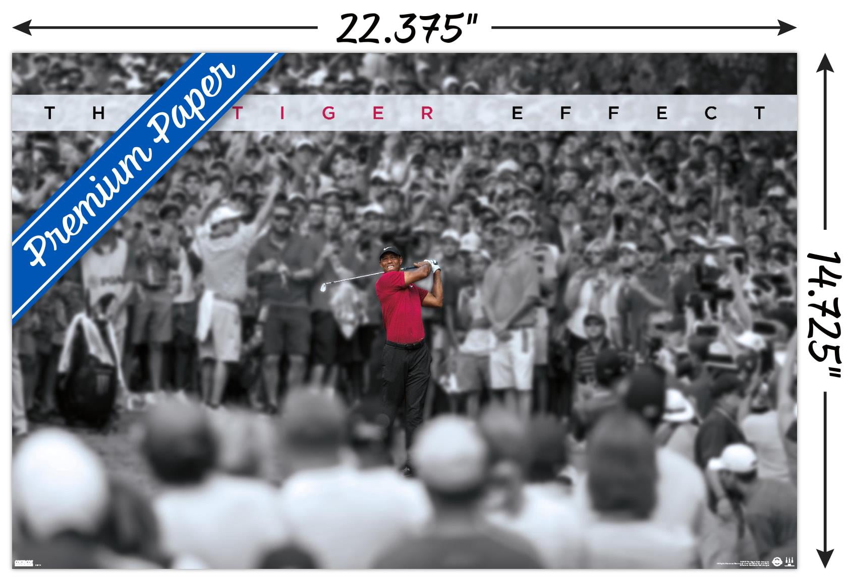 Tiger Woods - The Tiger Effect 22.37" x 14.72" Poster, by Trends International