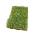 thumbnail image 2 of HILABEE Touffe d'Herbe Statique Modèle Touffes de Pelouse Déchirées à la Main pour Table de Sable Construction de Chemin de Fer Vert Automne, 2 of 9