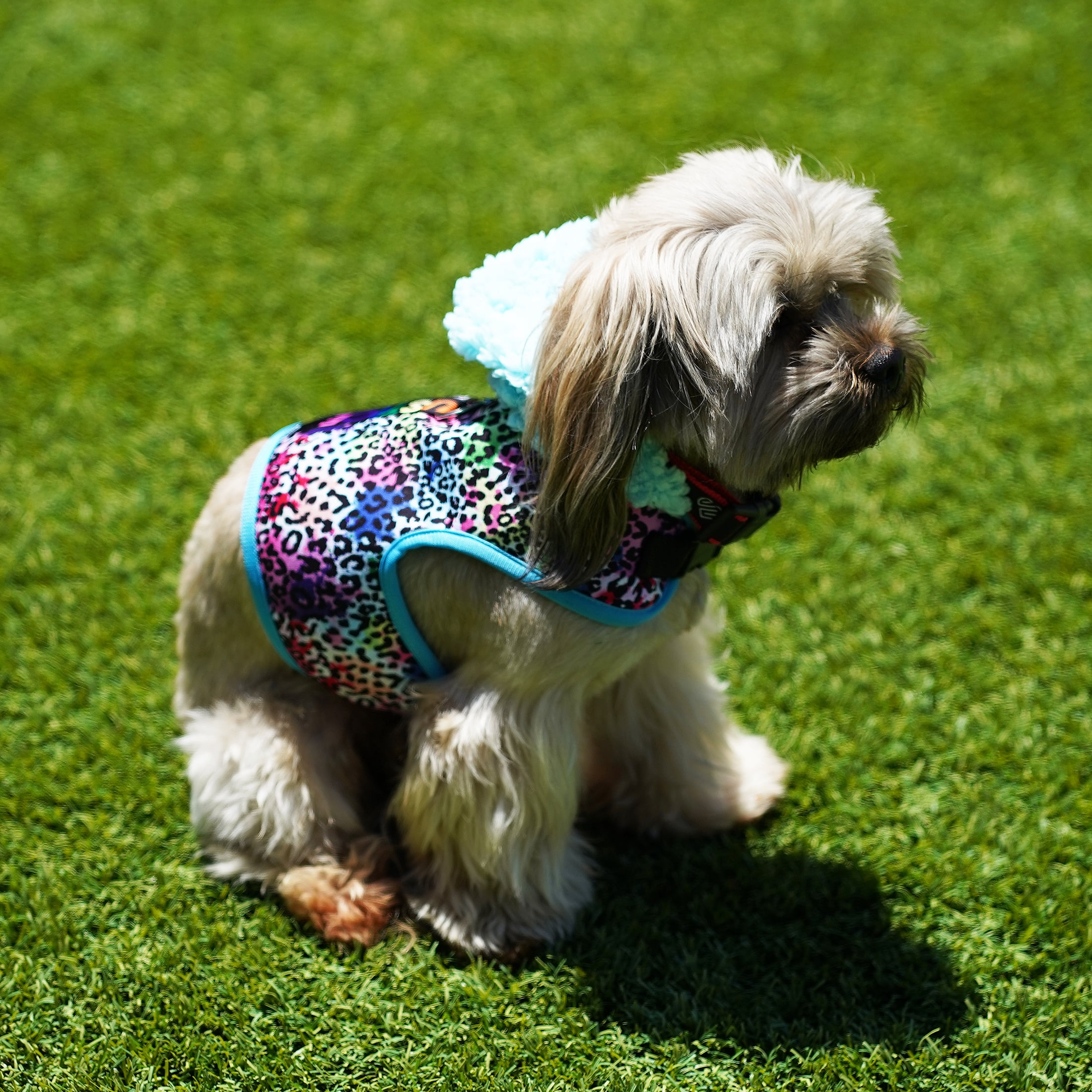 Justice Pet-Pet Harness-Justice Sherpa-Like Hooded Rainbow Leopard Print Harness For Medium Dogs-For Large Cats-For Pets With Chest Girth 20-27 Inches-Size Medium