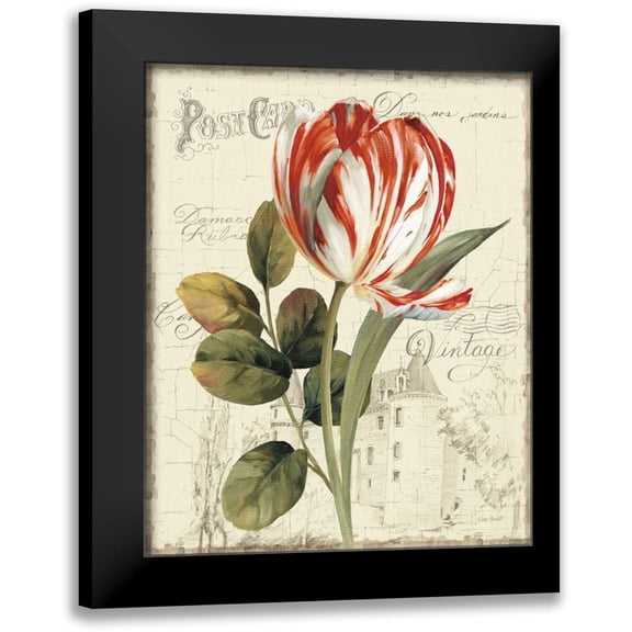 Audit, Lisa 12x14 Black Modern Framed Museum Art Print Titled - Garden View II - Red Tulip