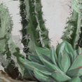 thumbnail image 3 of Masterpiece Art Gallery Desert Garden II Potted Cactus by Studio Arts Canvas Art Print, 3 of 4