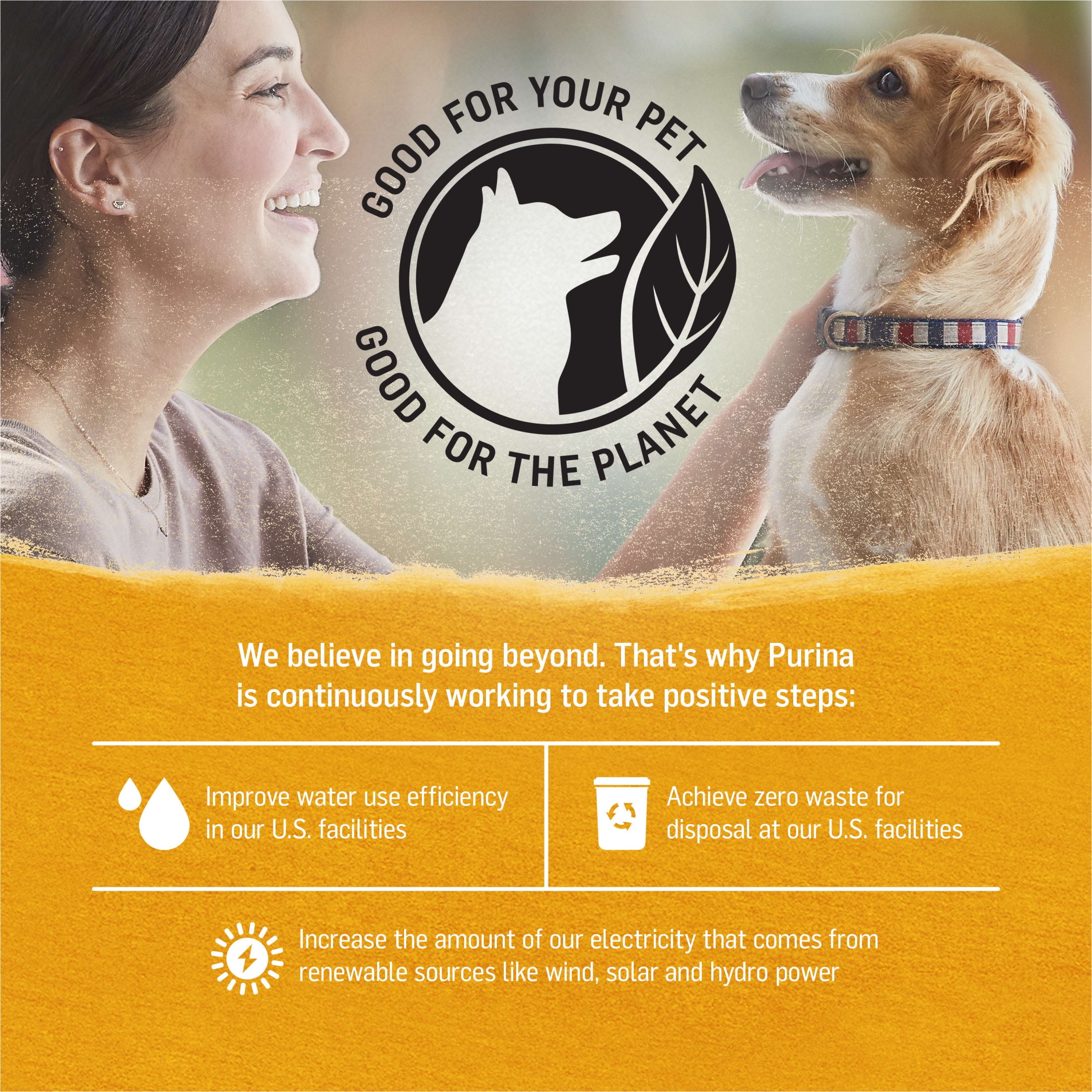 Purina Beyond Immune Health Wet Dog Food Real Soft Chicken, Carrot & Pea, 13 oz Can