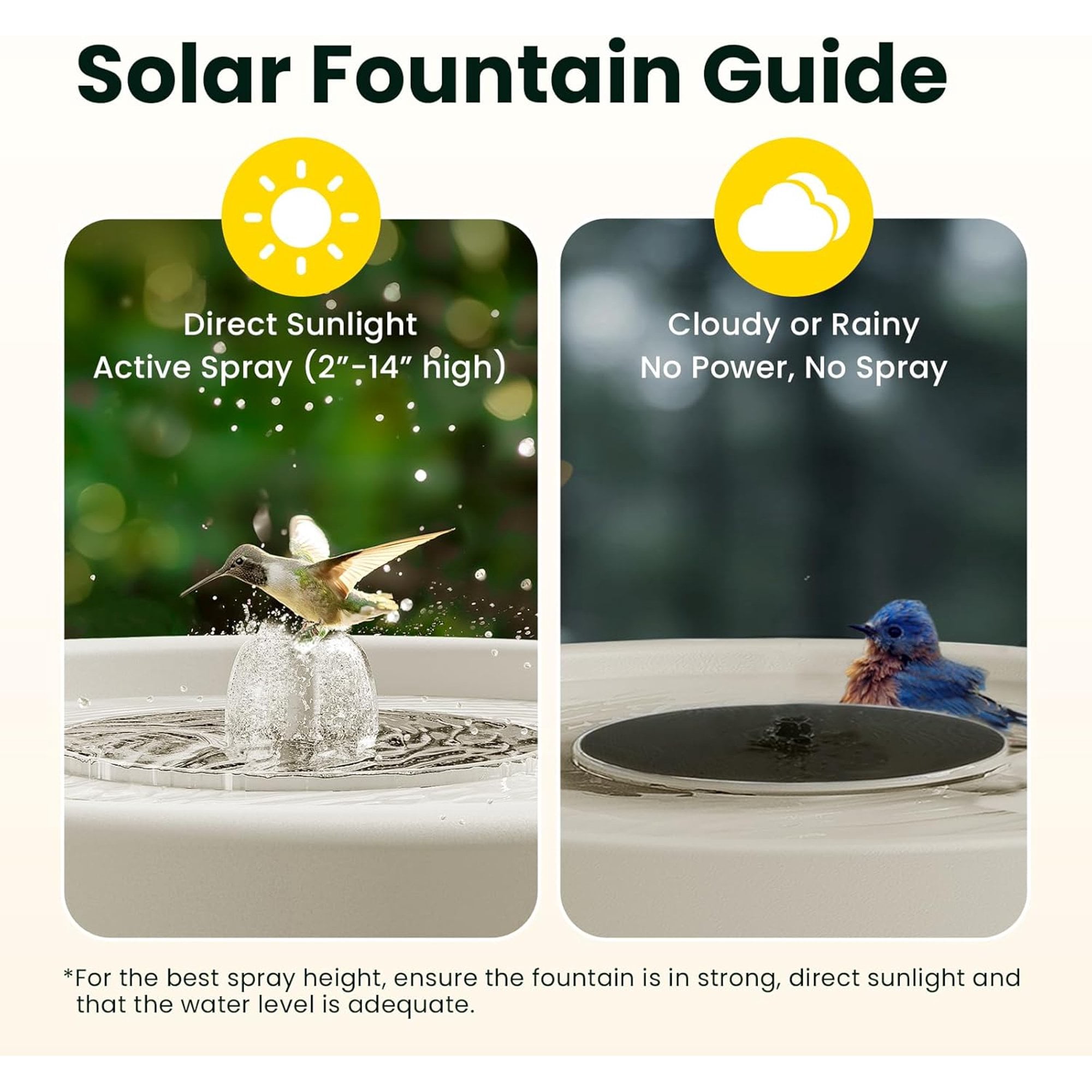 Birdfy Smart Bird Bath with Camera,Solar Birdbath for garden,Dual-Lens Fountain Outdoor, AI Bird Identification & Auto Video Capture with Notification