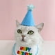 thumbnail image 2 of KAKOWELY juego de gorro y babero de cumpleaños para perro, decorativo, para mascota, gato, perro, feliz cumpleaños, para cosplay, fiesta, 2 of 5