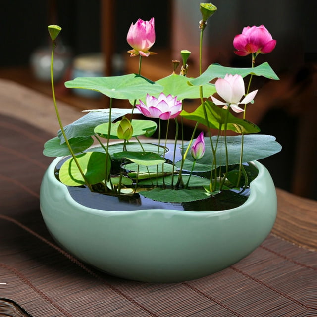 Ceramic Bowl Planter for Hydroponic and Bonsai Indoor Home Round Flower Pot