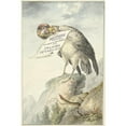 thumbnail image 3 of Circle of François Levaillant 13x18 Black Modern Framed Museum Art Print Titled - Kamgier with a Sheet of Paper in His Beak (1763 - 1824), 3 of 5