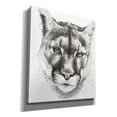 thumbnail image 2 of Epic Graffiti 'Sinewy' by Barbara Keith, Canvas Wall Art, 26"x30", 2 of 8