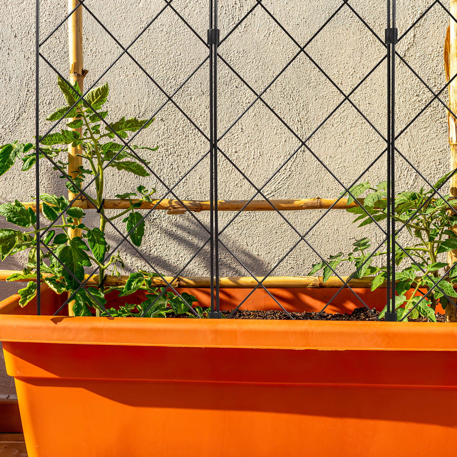 Pawsdot Strong Iron Plant Support Rack for Tomato Cucumber and Vine Plants
