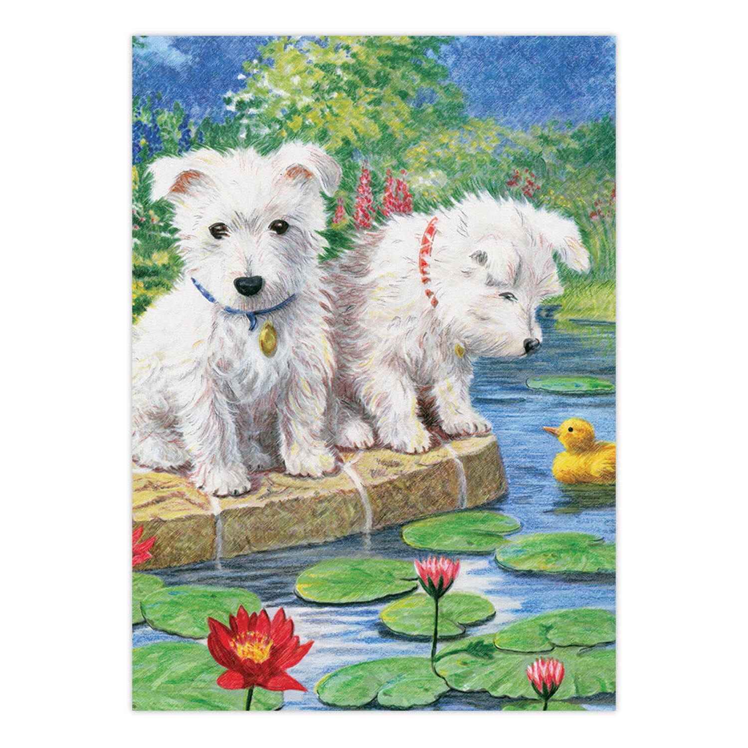 (4 pack) CPNMIN-108 | Colour Pencil by numbers™ 12pc 5" x 7" Westies Project