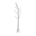 thumbnail image 2 of Evergreen Bottle Tree Variations (Bronze), 2 of 4
