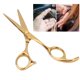 thumbnail image 5 of Tijeras planas profesionales para corte de pelo, tijeras de peluquería para salón de belleza (doradas), 5 of 8