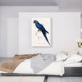 thumbnail image 2 of ARTCANVAS Anodorhynchus Canvas Art Print by Edward Lear - Size: 40" x 26" (0.75" Deep), 2 of 9