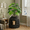 Black, variant on Cat Litter Box with Lid, Corner Cat Litter Box Enclosure, Hidden Cat Litter Box Plant, Black