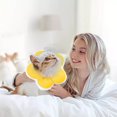 thumbnail image 1 of Suave y ajustable para gatos, suave para la recuperación después de la linda recuperación de gatos para cachorros, amarillo, morado, alfiler K, 3 colores, accesorios para mascotas, suministros para, 1 of 1