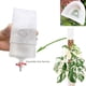 thumbnail image 4 of Estaca de riego automático en forma de D para macetas | Poste ajustable y apilable para musgo, ideal para plantas trepadoras de interior y exterior., 4 of 7