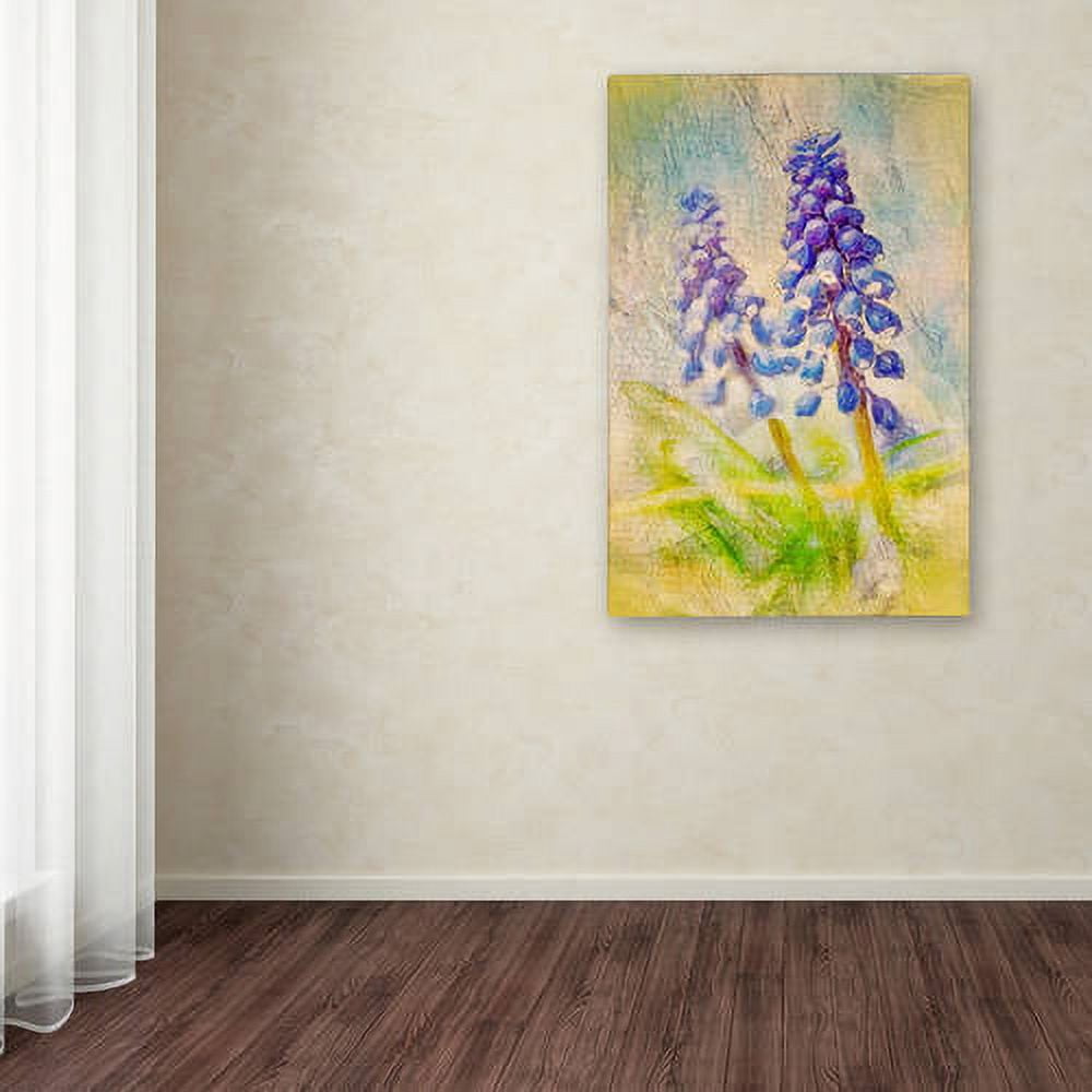 Trademark Fine Art "Nostalgic Grape Hyacinth" Canvas Art by Lois Bryan