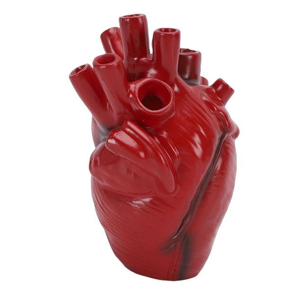 Jarrón Decorativo De Resina, Macetero Con Corazón Anatómico, Mesa Decorativa, Encimera, Artículos Artísticos Para Sala De Estar, Dormitorio, Granja, Rojo