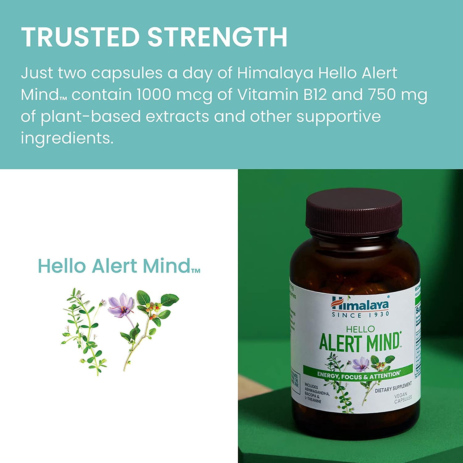 Himalaya Hello Alert Mind with Ashwagandha & L-Theanine for Energy, Focus and Attention, 60 Capsules