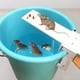 thumbnail image 1 of Trampa para ratones ANGGREK de cubo Humano de madera Reutilizable, 1 of 8