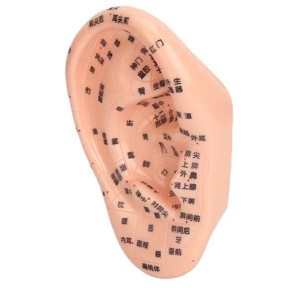 Ear Acupuncture Massage Kit, Ear Sticker Acupuncturen Tool Kit Skincare For Daily Care
