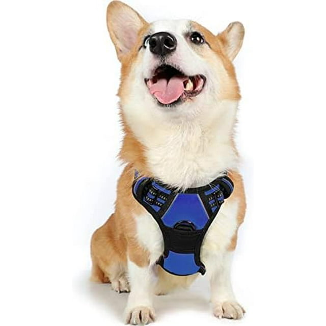 rabbitgoo Dog Harness No-Pull Pet Harness with 2 Leash Clips Adjustable Soft Padded Dog Vest Reflective No-Choke Pet Oxford Vest with Easy Control Handle for Large Dogs Orange L