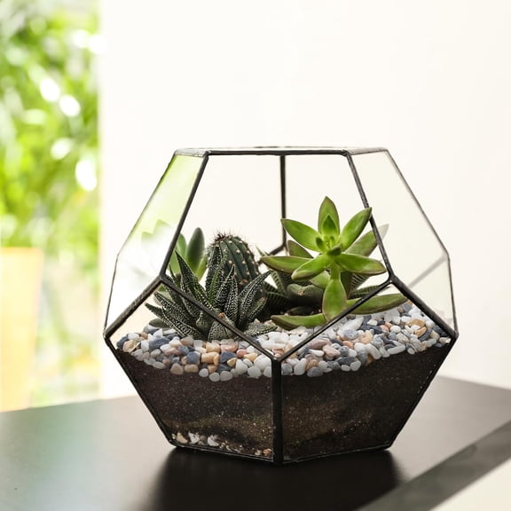 Small Rocks for Plants, Pebbles for Indoor Plants, Natural Decorative Pea Gravel for Aquarium, Fish Tank, Terrarium, Succulents, Bamboo Plants, Vases, Cactus, Crafts