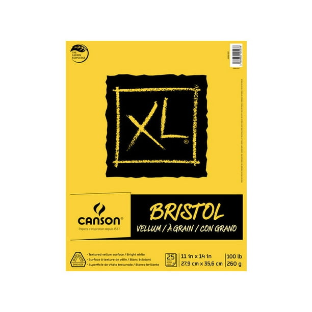 DIXON TIC/ CANSON 400061839 XL BRISTOL Vélin 100LB 25 Feuille 11X14
