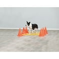 thumbnail image 5 of TRIXIE Dog Agility Hurdle Cone Set, Portable Canine Agility Training Set, 6 Exercise Cones with 3 Agility Rods, 5 of 9
