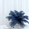 thumbnail image 4 of BalsaCircle 12 Pieces 13"-15" Navy Blue Authentic Ostrich Feathers Centerpieces, 4 of 7