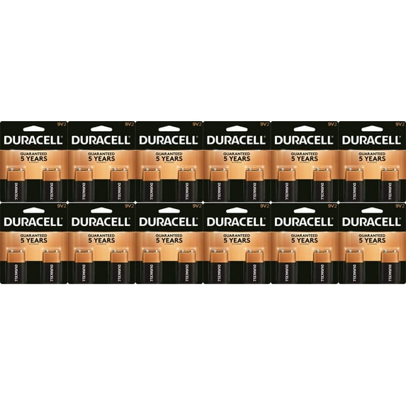 Duracell 9V Alkaline Batteries Exp. 2022 24 Pack