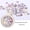 SP1407, variant on Nail Art Wood Pulp Slice Flower Mixed Nail Sticker DIY Accessories
