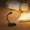 Black, variant on Usb Rechargeable Led Reading Lamp With 3 Adjustable Colors & Clip-On