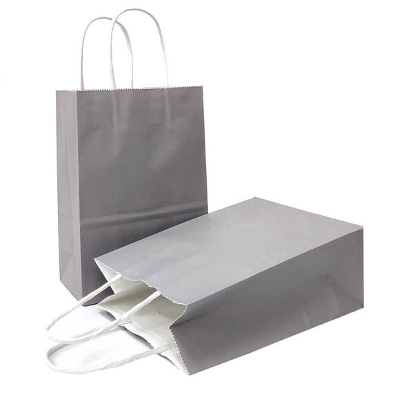 AZOWA Gift Bags Mini Small Kraft Paper Bags with Handles (4.7 x 2.4 x 6 in, Grey, 12 Pcs)
