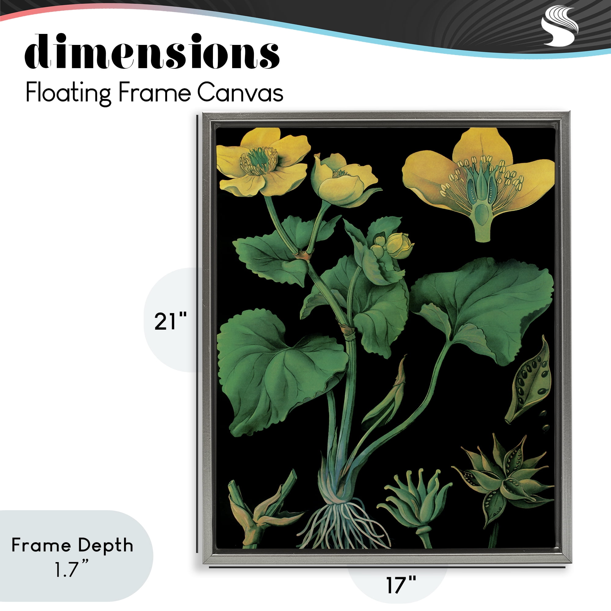 Stupell Industries Marsh Marigold Illustration Study Gray Framed Floater Canvas Wall Art, design by Vintage Hustle