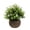 D, variant on Flower Pot Simulation Flower, Artificial Pot Flowers, Fake Plants, Small Fake Plants in Brown Plastic Pot, Mini Artificial Greenery Potted Plants for Home Decor, House Tabletop Decoration