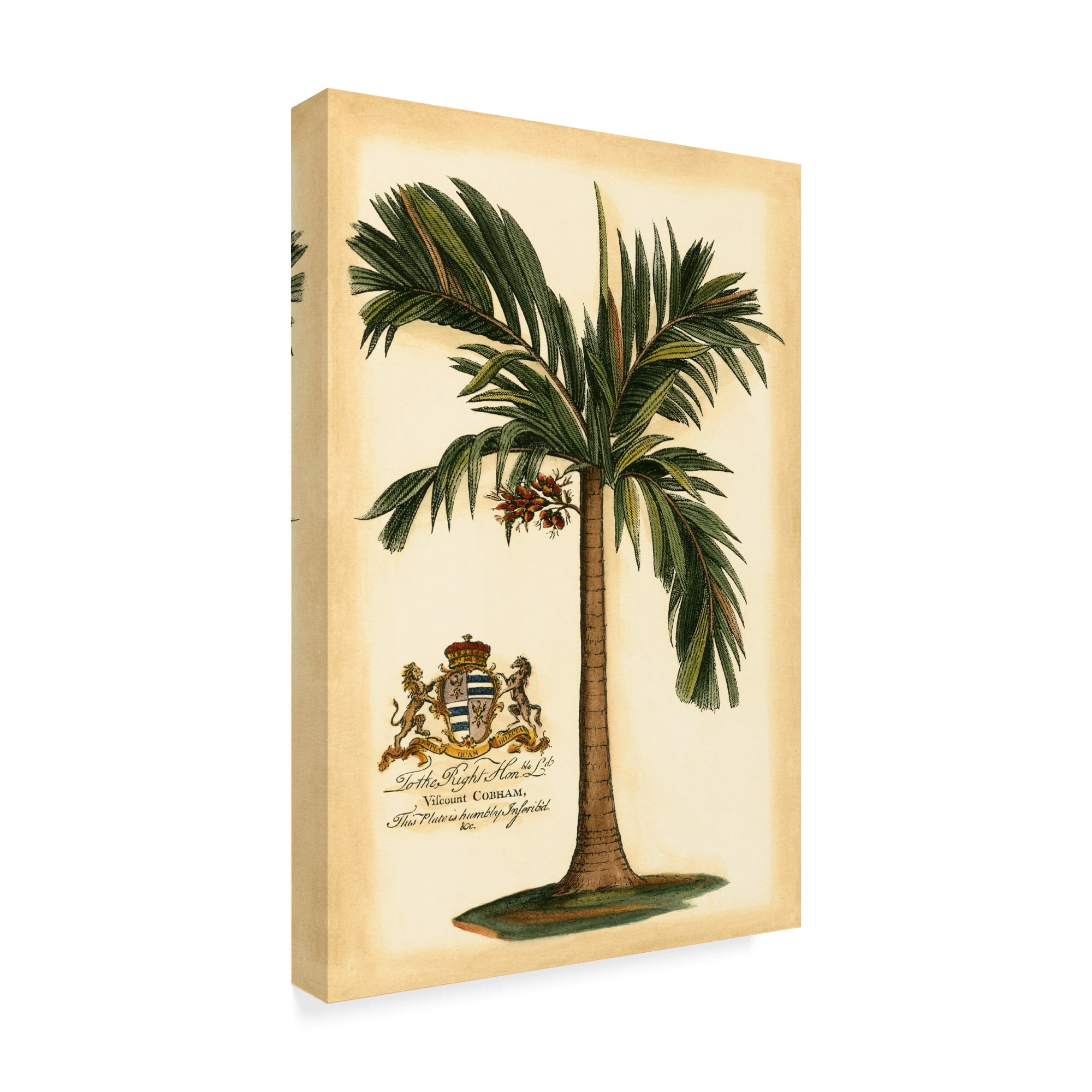 Trademark Fine Art 'British Colonial Palm I' Canvas Art by Vision Studio