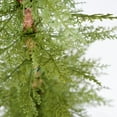 thumbnail image 4 of 4ft Pre-Lit Artificial Christmas 2-Piece with high-quality PE material,Set Easy Assembly,Potted stand, 4 of 8